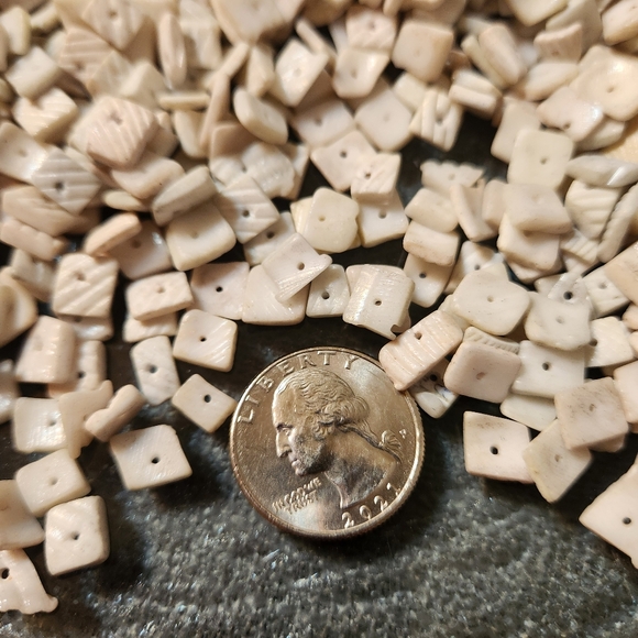 Bead Litub Shell Natural White Medium Chip Entire Lot Loose Chips and Strands - Picture 5 of 6